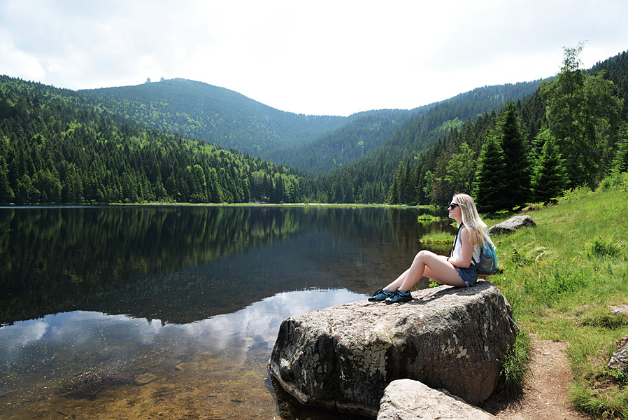 Bayerischer Wald